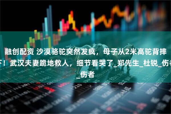 融创配资 沙漠骆驼突然发疯,母子从2米高驼背摔下!武汉夫妻跪地救人,细节看哭了_郑先生_杜锐_伤者