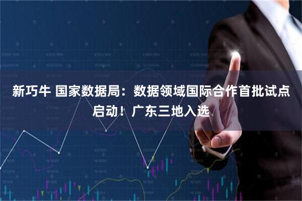 新巧牛 国家数据局：数据领域国际合作首批试点启动！广东三地入选
