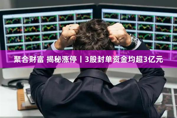 聚合财富 揭秘涨停丨3股封单资金均超3亿元
