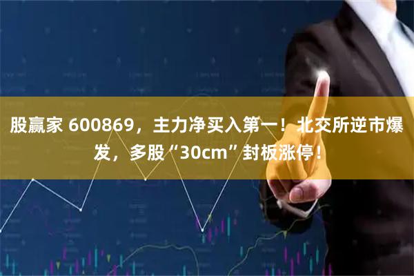 股赢家 600869，主力净买入第一！北交所逆市爆发，多股“30cm”封板涨停！