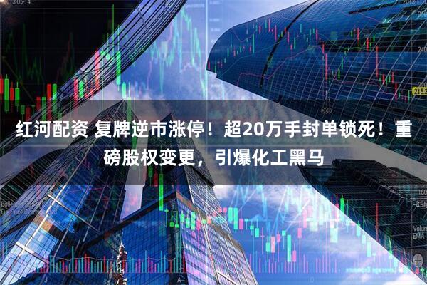 红河配资 复牌逆市涨停！超20万手封单锁死！重磅股权变更，引爆化工黑马